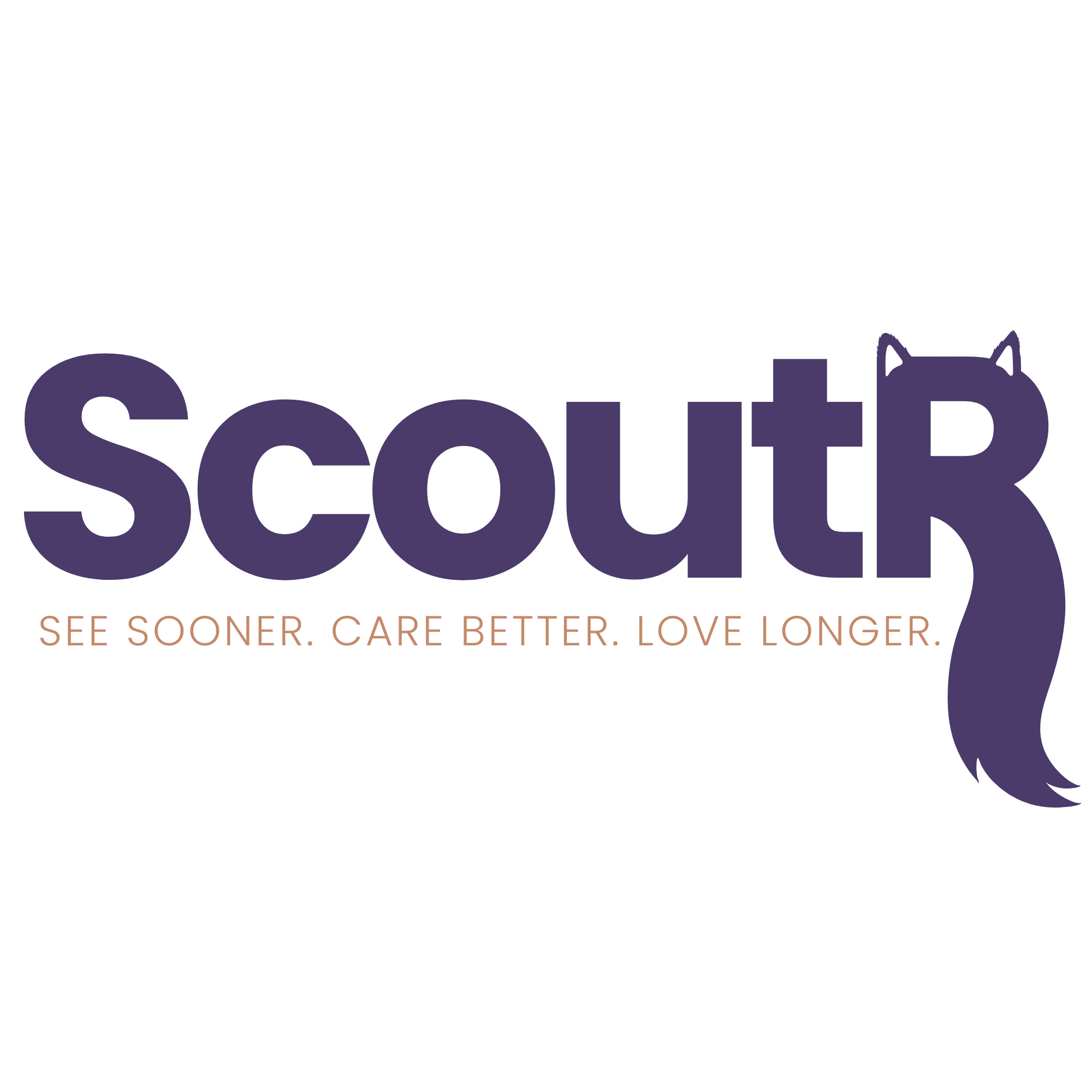 ScoutR